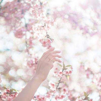 pg电子娱乐官网游戏下载手机版